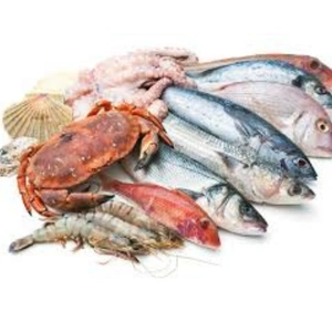 1746794403_Aquatic Products.webp
